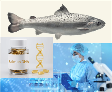 Somon DNA Tedavisi